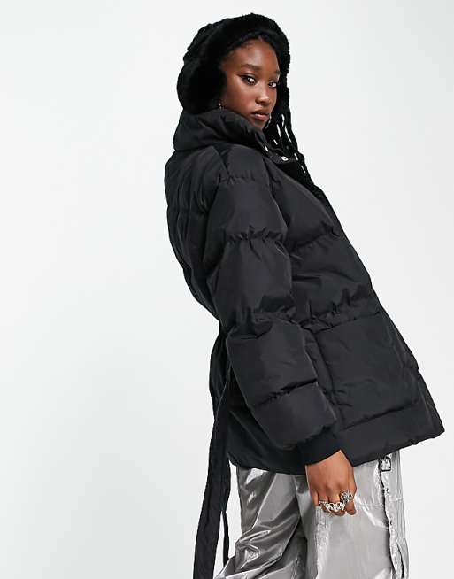 Black Belted Puffer