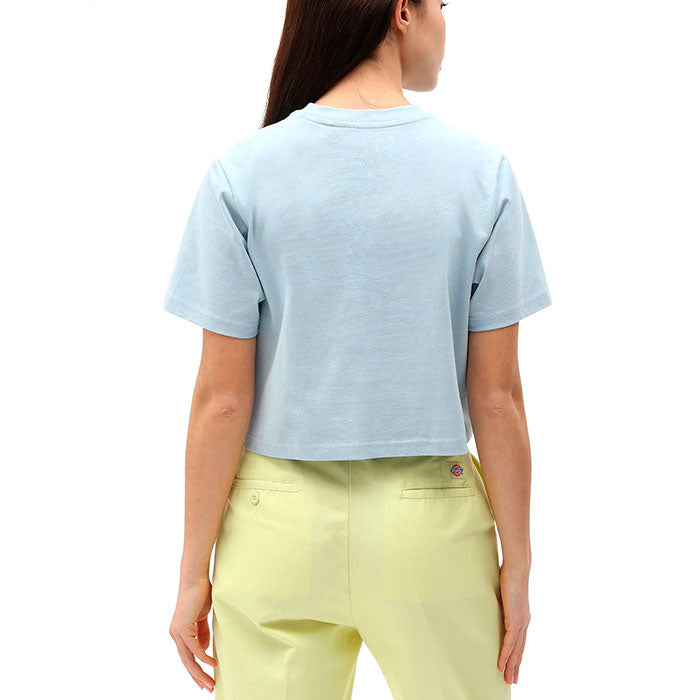 Dickies Womens Porterdale Cropped T-Shirt Fog Blue
