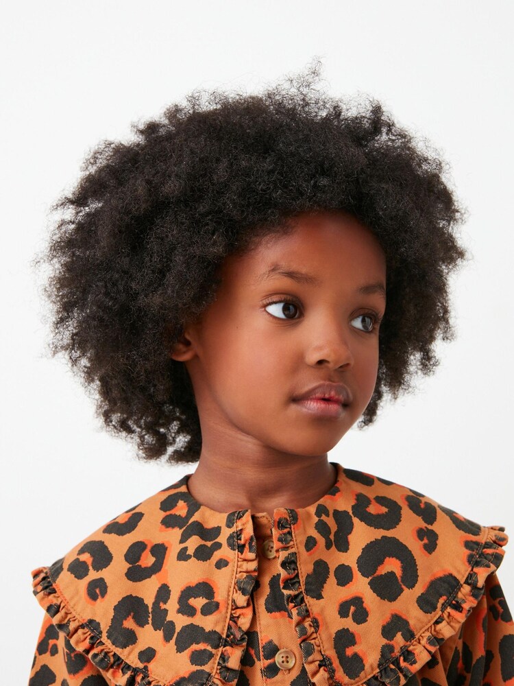 Animal Printed Collar Dress
