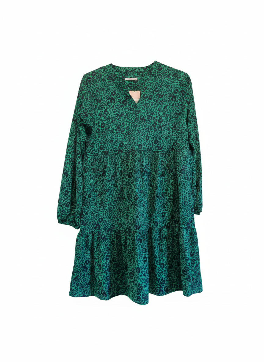 Leopard Print Long Sleeved Skater Dress