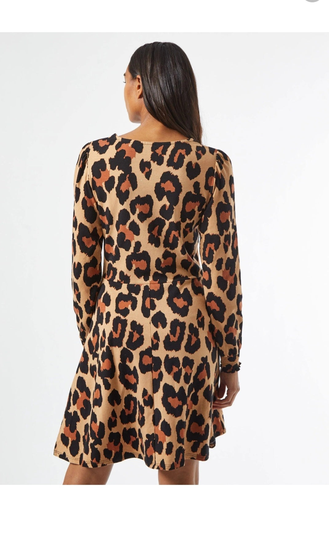 Leopard Print Dress