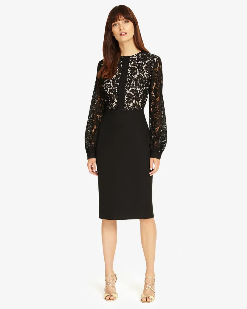 Eviana Lace Sleeve Dress