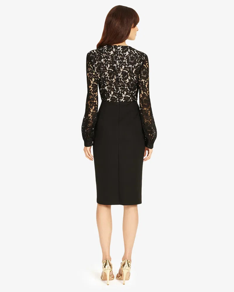 Eviana Lace Sleeve Dress