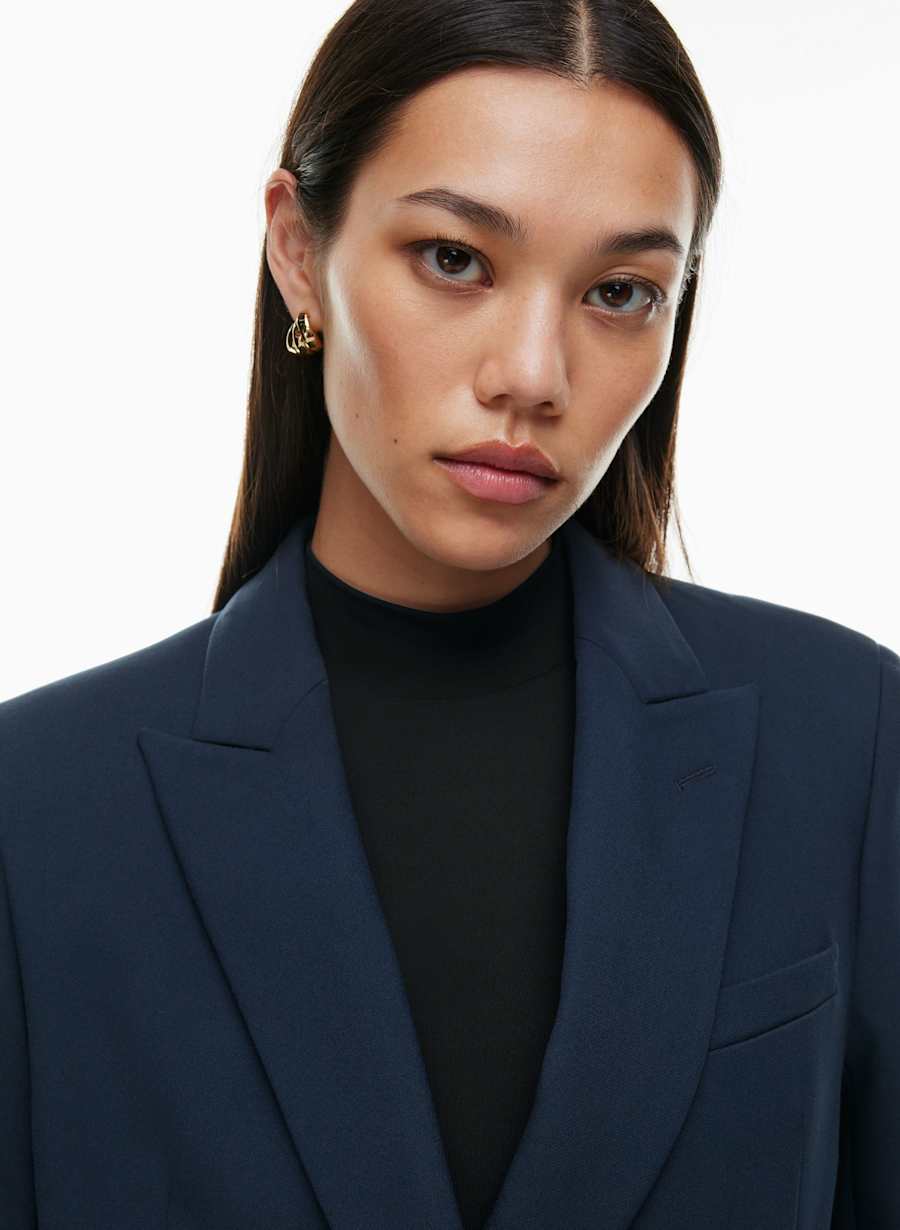 Aritzia Babaton Status Blazer