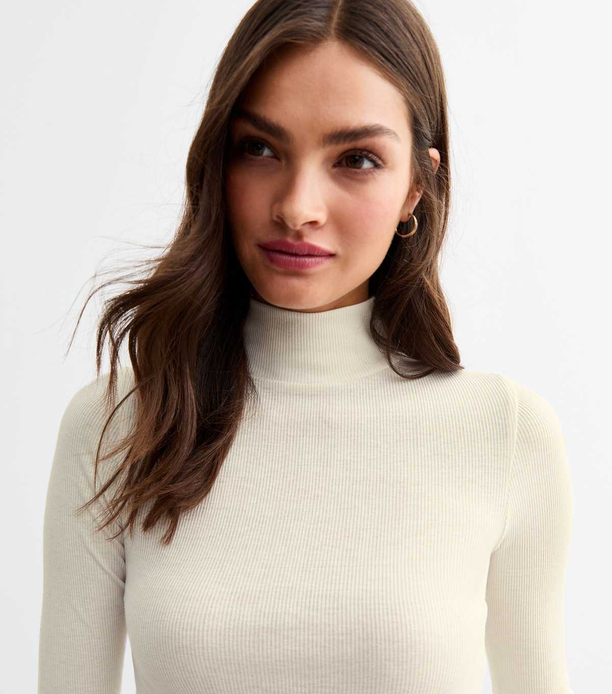 Ribbed Roll Neck Long Sleeve Top