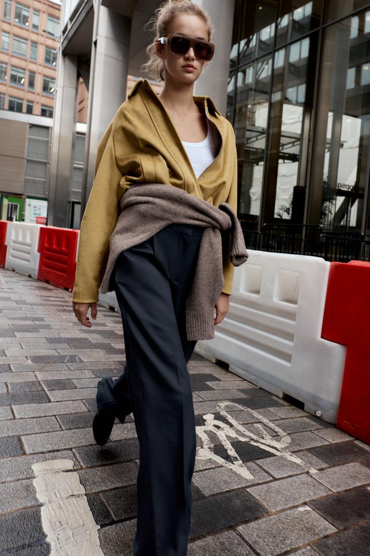 Zara Trouser With Stripes