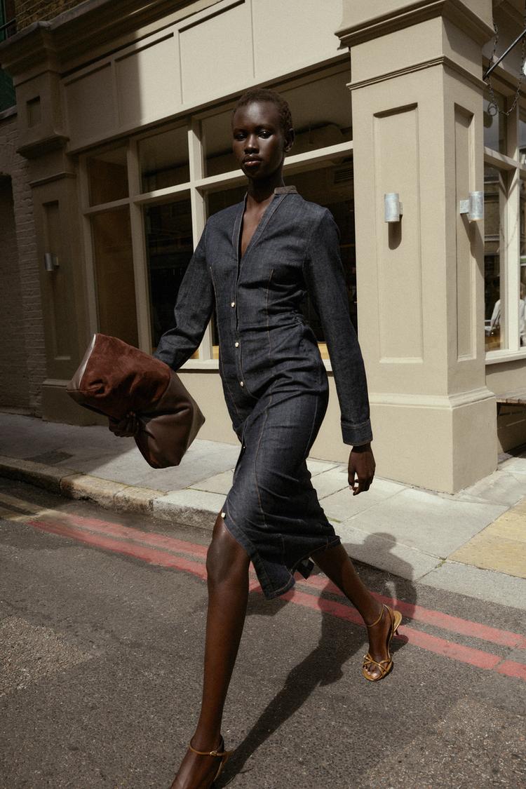 Zara Fitted Denim Dress