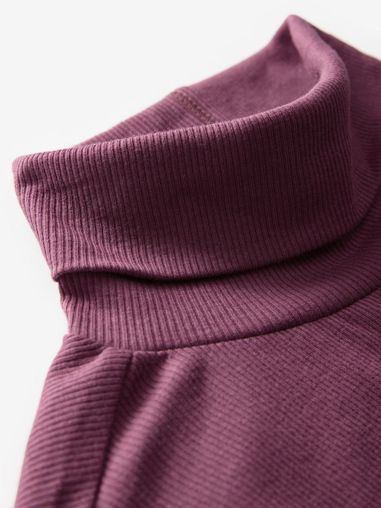 Burgundy Red Long Sleeve Ribbed Ribbed Roll Neck Top