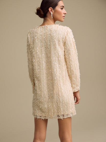 Pastel Pink Long Sleeve V- Neck Fringe Sequin Mini Dress