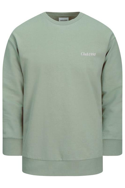 Light Green Graphic Print Sweatshirt