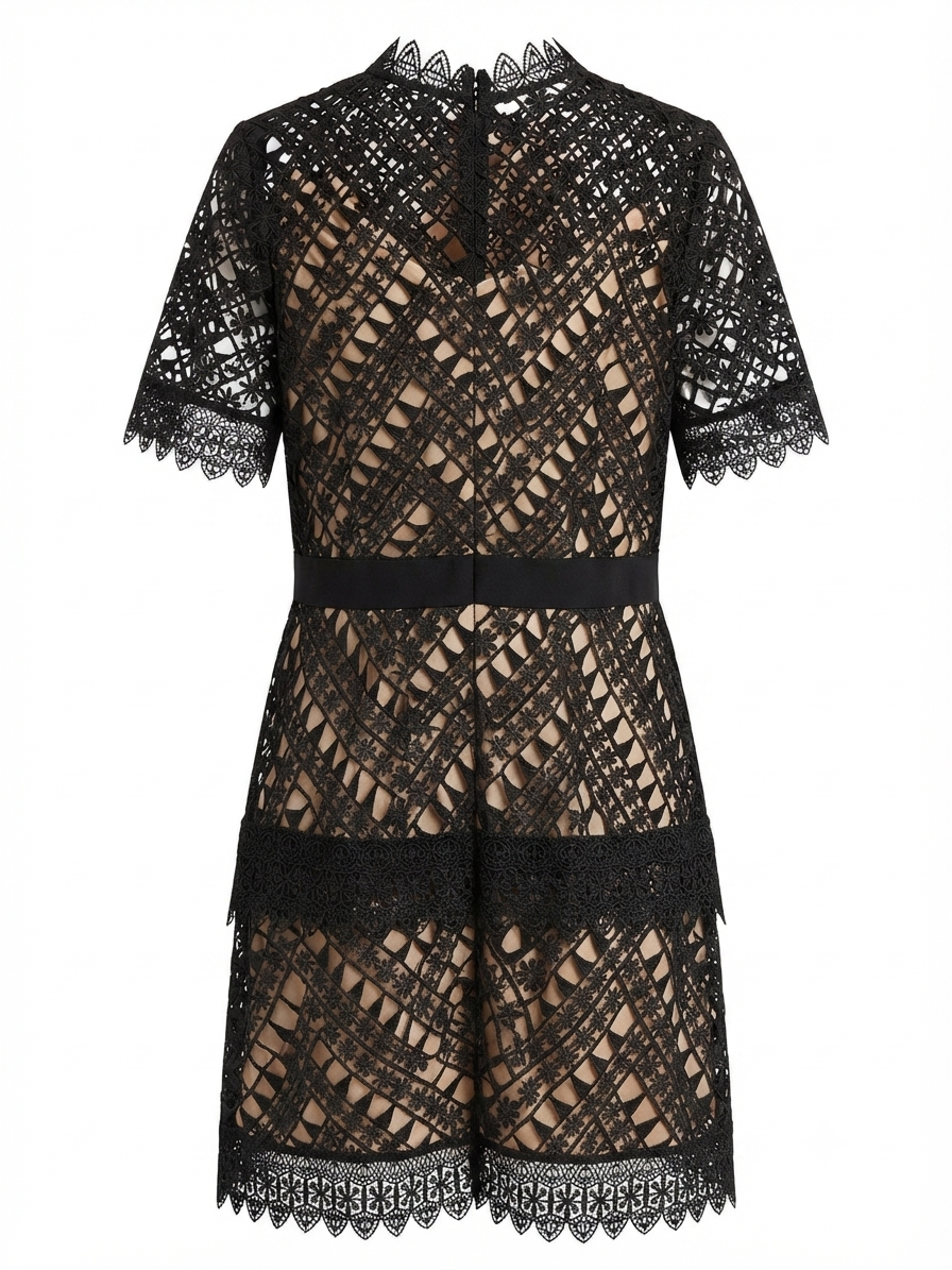 Black Lace Tiered Mini Dress