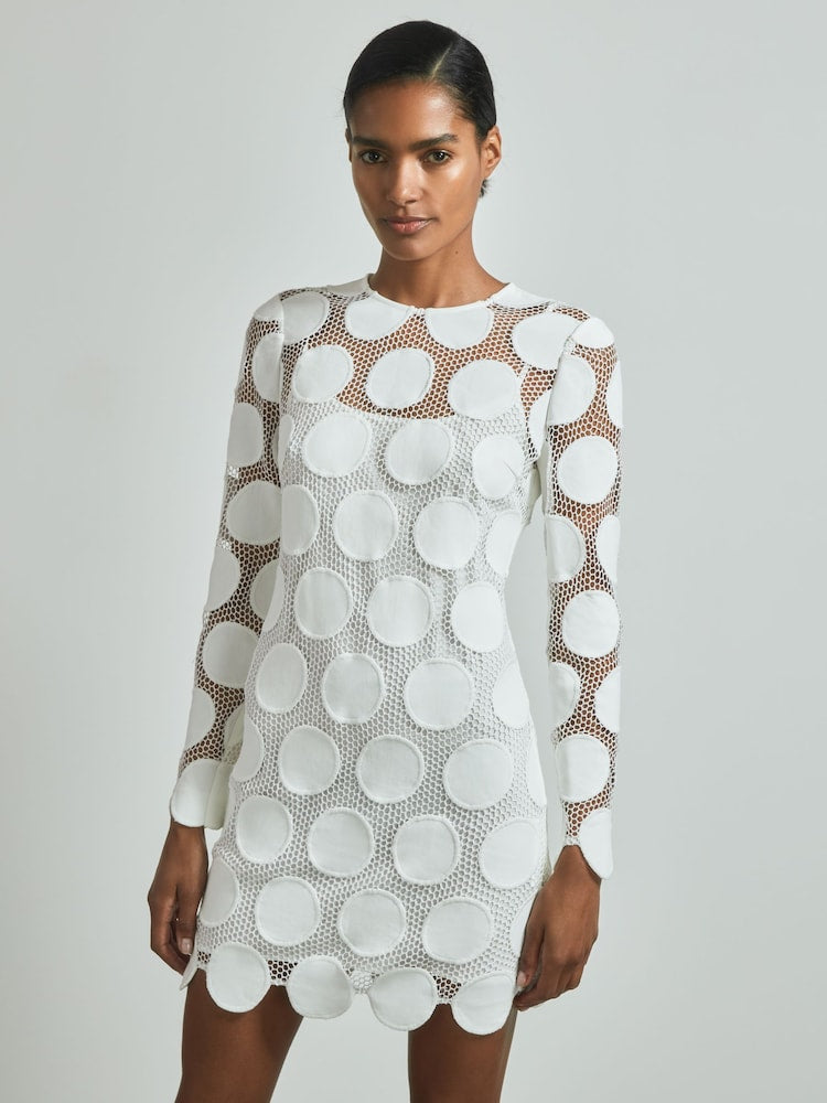 Atelier Sheer Embroidered Mini Dress In Ivory