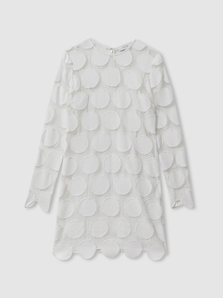 Atelier Sheer Embroidered Mini Dress In Ivory