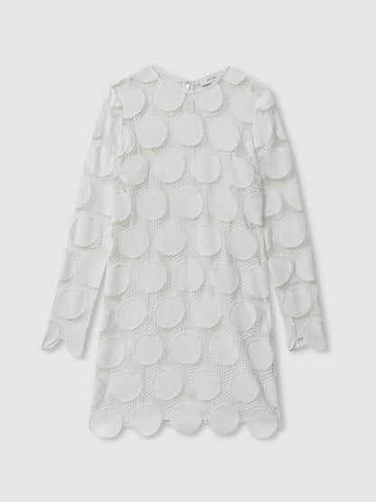 Atelier Sheer Embroidered Mini Dress In Ivory