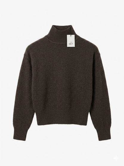 The Set Turtleneck Winter Sweater - Dark Brown