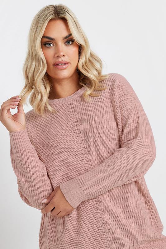 Curve Light Pink Essential Knitted Jumper
