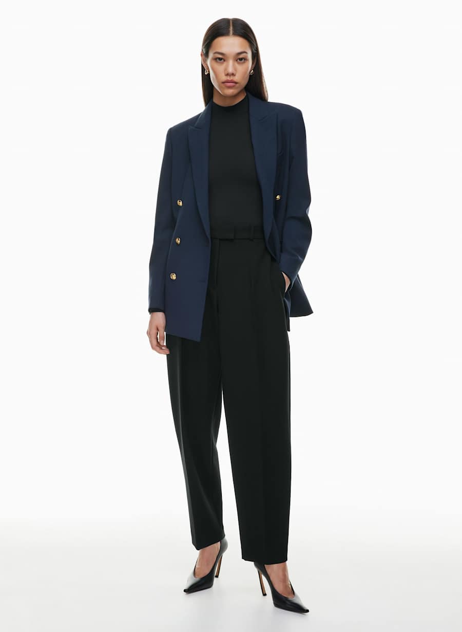 Aritzia Babaton Status Blazer